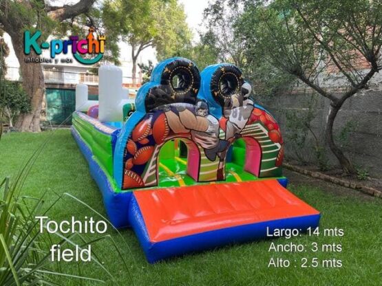 Alquila el campo de tocho en CDXM y zona metropolitana para tener horas de diversión y entretenimiento sano