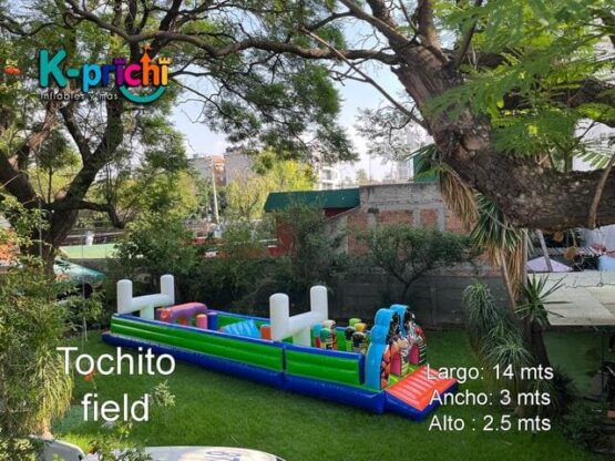 Alquila el campo de tocho en CDXM y zona metropolitana para tener horas de diversión y entretenimiento sano