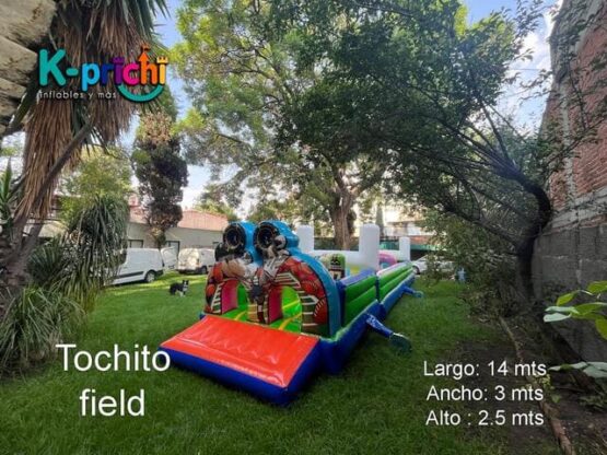 Alquila el campo de tocho en CDXM y zona metropolitana para tener horas de diversión y entretenimiento sano